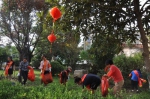 五龙社区巾帼志愿者积极投身“双创”活动 - 妇联