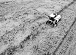 秋分时节秋收忙（图）《安徽日报》 - 农业机械化信息