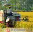 阜南40万亩水稻开机收割《阜阳日报》 - 农业机械化信息