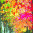 大蜀山森林公园树叶色彩斑斓  许多市民前来观赏（图） - 安徽网络电视台