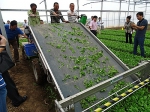 机械化让我国“菜篮子”提得更稳 《中国农机化导报》 - 农业机械化信息
