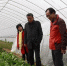 太湖县：争做助力脱贫的“领头燕” - 农业机械化信息