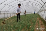 太湖县：争做助力脱贫的“领头燕” - 农业机械化信息