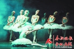 芭蕾舞剧《天鹅湖》向合肥观众新年献礼 - 中安在线