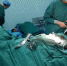 芜湖医生连续40个小时工作 累倒在手术室 - 合肥在线