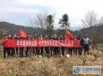 宿松县陈汉乡组织志愿者开展义务植树活动 - 安徽新闻网