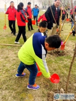 清水街道开展美化“三线三边”植树节活动 - 安徽新闻网
