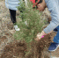 安徽理工大学学子爱心植树创建绿色家园 - 安徽新闻网