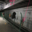 合肥地铁2号线部分站点装修进程曝光 电梯屏蔽门等已安装 - 地铁