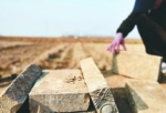 合肥长丰农民犁地时意外发现东汉古墓 出土8座墓葬19件(组)器物 - 合团