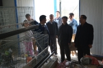 我校教师赴淮南市畜禽养殖企业开展“畜牧科技进万家”活动 - 安徽科技学院
