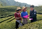 “村警”进村入户开展茶季防范宣传 - 公安厅