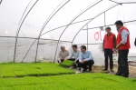 滁州市农机系统市、区两级开展“我育一次秧”活动 - 农业机械化信息