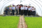 合肥市油稻连作全程机械化生产暨秸秆还田现场观摩会在肥东举办 - 农业机械化信息