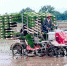 新型钵苗插秧机成为桐城农民机插好帮手 - 农业机械化信息