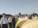 蚌埠市领导检查指导三夏工作 - 农业机械化信息