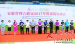 安徽省暨合肥市2017年度家庭运动会成功举办 - 合肥在线