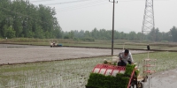 枞阳县大力推进水稻种植机械化 - 农业机械化信息