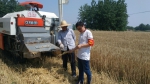 肥东农机组合拳力战“三夏” - 农业机械化信息