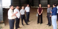 安庆市农机局检查指导宜秀区农机化工作 - 农业机械化信息