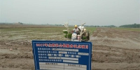 望江县农机局开展水稻种植机械化对比试验 - 农业机械化信息