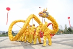 2017年中国文化遗产日安徽省主场活动在蚌埠市举行 - 文化厅