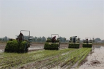 怀远县召开水稻机插方式及化肥减量试验研究现场观摩会 - 农业机械化信息