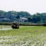 庐江县：规模发展稻虾共生种养模式 生态农业效益显著 - 农业机械化信息