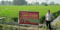 长丰县机直播水稻丰收在望 - 农业机械化信息