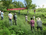 绩溪县举办“农机上山”示范推广现场会 - 农业机械化信息