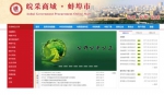 蚌埠创新“互联网+政府采购”：全省3000多家单位轻松“网购” - 中安在线