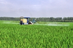怀远县龙亢农场：加强水稻田管 力保增产丰收 - 农业厅
