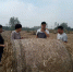 阜南县指导合作社玉米机收秸秆打捆作业 - 农业机械化信息