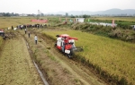 肥东县召开水稻机收暨秸秆打捆一体化现场会 - 农业机械化信息
