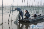 图二：捕捞小渔船飘飘荡荡，揭开丰收的序幕 - 安徽新闻网