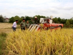 广德县加强三秋农机化生产巡回服务 - 农业机械化信息
