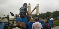 亳州：焦魁农机合作社“抢”收忙 - 农业机械化信息
