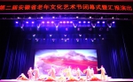 第二届安徽省老年文化艺术节闭幕式暨汇报演出成功举行 - 安徽省民政厅