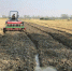 凤台县大力推广稻茬小麦高畦降渍播种技术 - 农业机械化信息