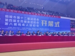 高维岭局长出席铜陵市第十二届运动会开幕式 - 省体育局