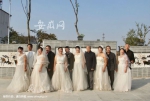 6对金婚银婚夫妇拍婚纱照。 - 安徽网络电视台