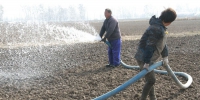 濉溪县临涣镇群众浇水造墒力争小麦一播全苗 - 农业厅