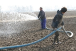 濉溪县临涣镇群众浇水造墒力争小麦一播全苗 - 农业厅