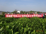 郎溪县举办茶园机械化管理现场会 - 农业机械化信息