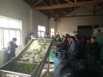 郎溪县举办茶园机械化管理现场会 - 农业机械化信息