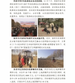 安徽农机化简报【三秋专刊（七）】 - 农业机械化信息