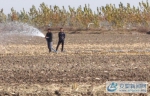 怀远县河溜镇及时进入灌溉保秋种模式 - 安徽新闻网