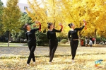 【图片专题】一曲花鼓 一抹金黄 点缀了别样的秋天 - 安徽科技学院