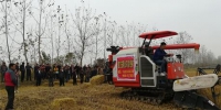 望江县召开秸秆机械化综合利用新技术示范现场 - 农业机械化信息