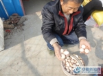 图为家庭农场负责人梁建东兴奋地展示新收篮的绿色鸡蛋。 - 安徽新闻网
